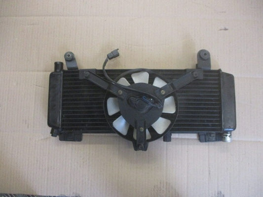 Radiateur d'eau + ventilateur pour Yamaha 750 XTZ - 3LD