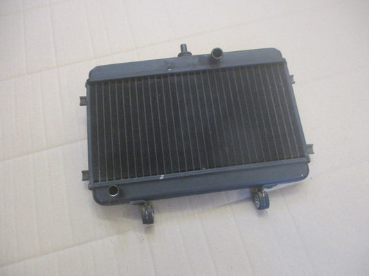 Radiateur d'eau pour Yamaha 125 TDR - 3XD