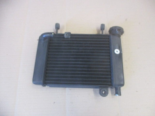 Radiateur d'eau pour Honda 125 CBR - JC39A