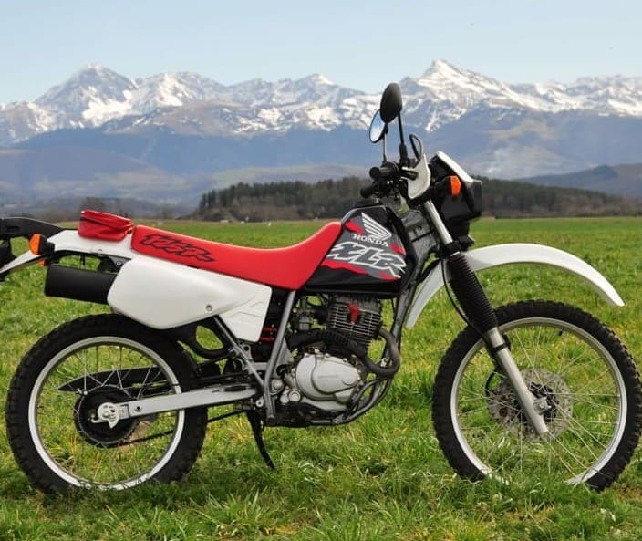 Honda XLR