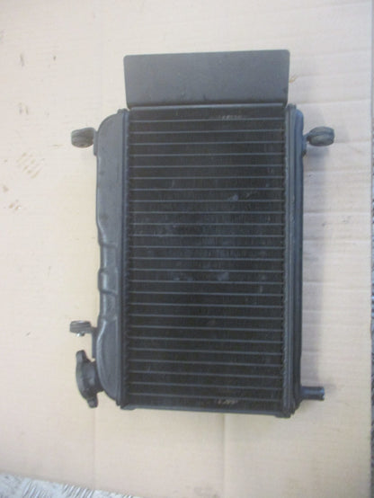 Radiateur d'eau pour Yamaha 125 TZR - 4FL