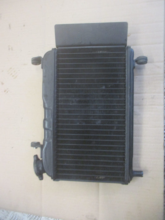 Radiateur d'eau pour Yamaha 125 TZR - 4FL
