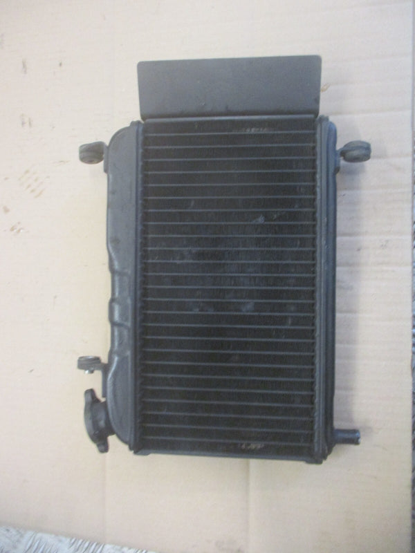Radiateur d'eau pour Yamaha 125 TZR - 4FL