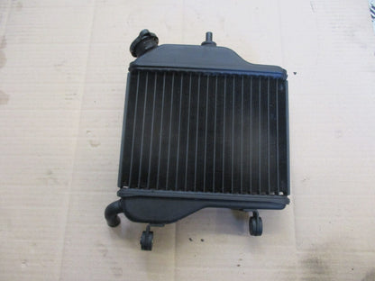 Radiateur d'eau pour Yamaha 125 TZR - 2RL