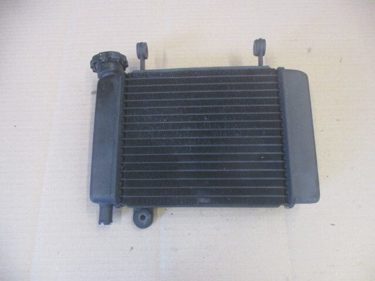 Radiateur d'eau pour Honda 125 CBR - JC39A