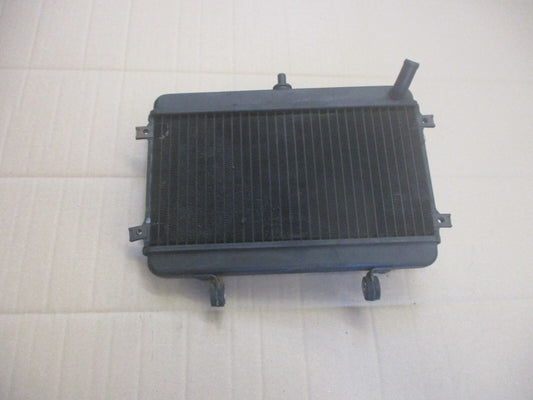Radiateur d'eau pour Yamaha 125 TDR - 3XD