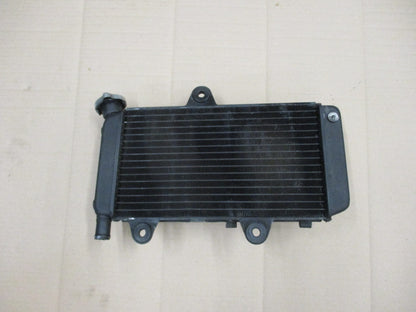 Radiateur d'eau pour Yamaha 660 XTX - DM014 - DM01B