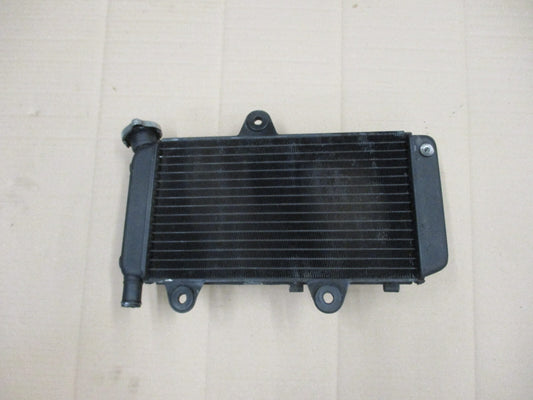 Radiateur d'eau pour Yamaha 660 XTX - DM014 - DM01B