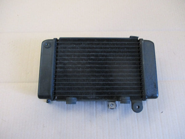Radiateur d'eau gauche pour Honda 650 XLV Transalp - RD10A - RD11A