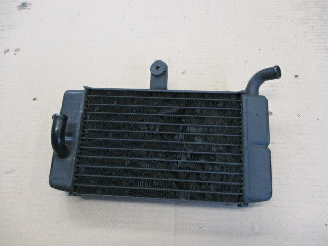 Radiateur d'eau gauche pour Honda 750 Africa twin - XRV - RD04