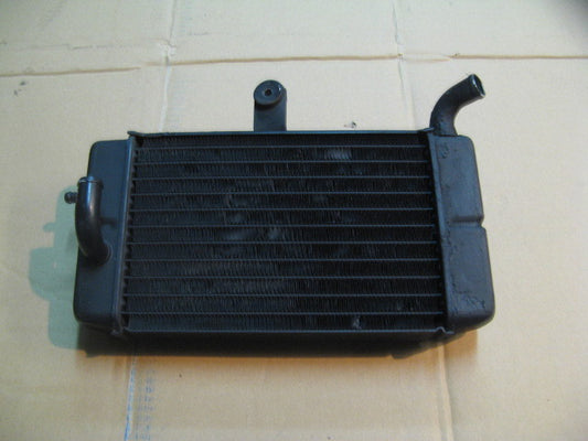 Radiateur d'eau gauche pour Honda 750 Africa twin - XRV - RD07