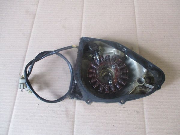 Stator + capteur + carter d'allumage pour Suzuki 125 GN - NF41A