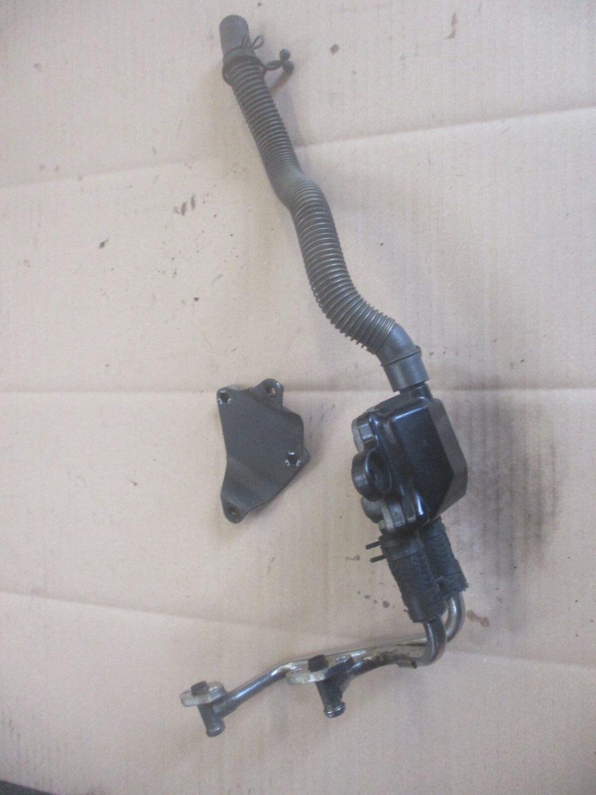 Ensemble anti-pollution pour Honda 650 FX - VIGOR - RD09