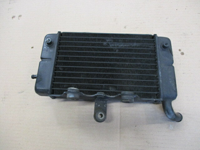 Radiateur d'eau gauche pour Honda 750 Africa twin - XRV - RD04