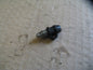 Vis de purge étrier frein avant pour Suzuki 600 DR - 650 DR - SN41A - SP41A