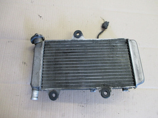 Radiateur d'eau + ventillateur pour Yamaha 660 XTX - XTR - DM014 - DM011