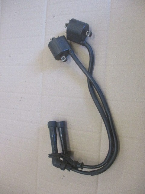 Bobines HT pour Suzuki 650 SV S - BY222