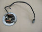 Stator d'allumage pour Yamaha 125 DTF - 1F9