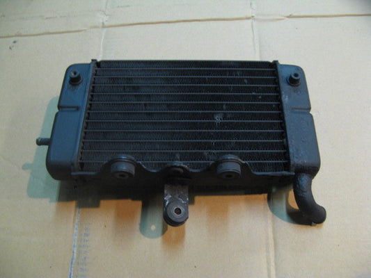 Radiateur d'eau gauche pour Honda 750 Africa twin - XRV - RD07
