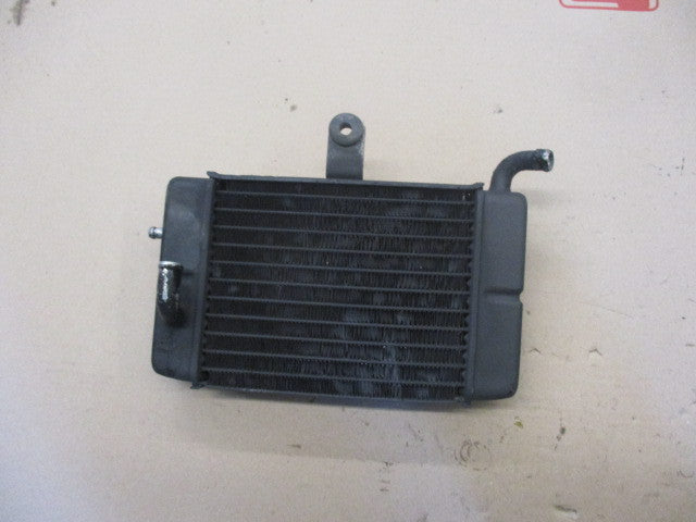 Radiateur d'eau gauche pour Honda 600 Transalp - PD06 - PD10