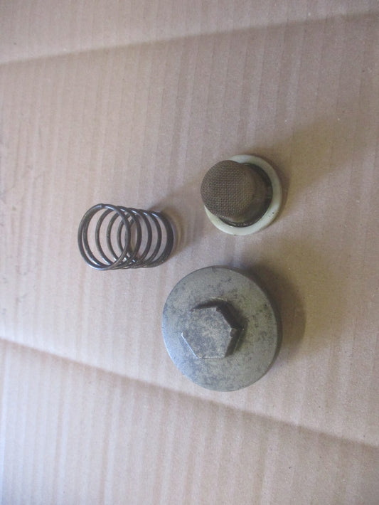 Bouchon de vidange + crépine pour Yamaha 125 TW - DE01 - DE054